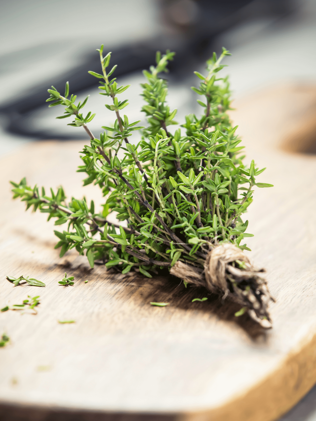 Thyme