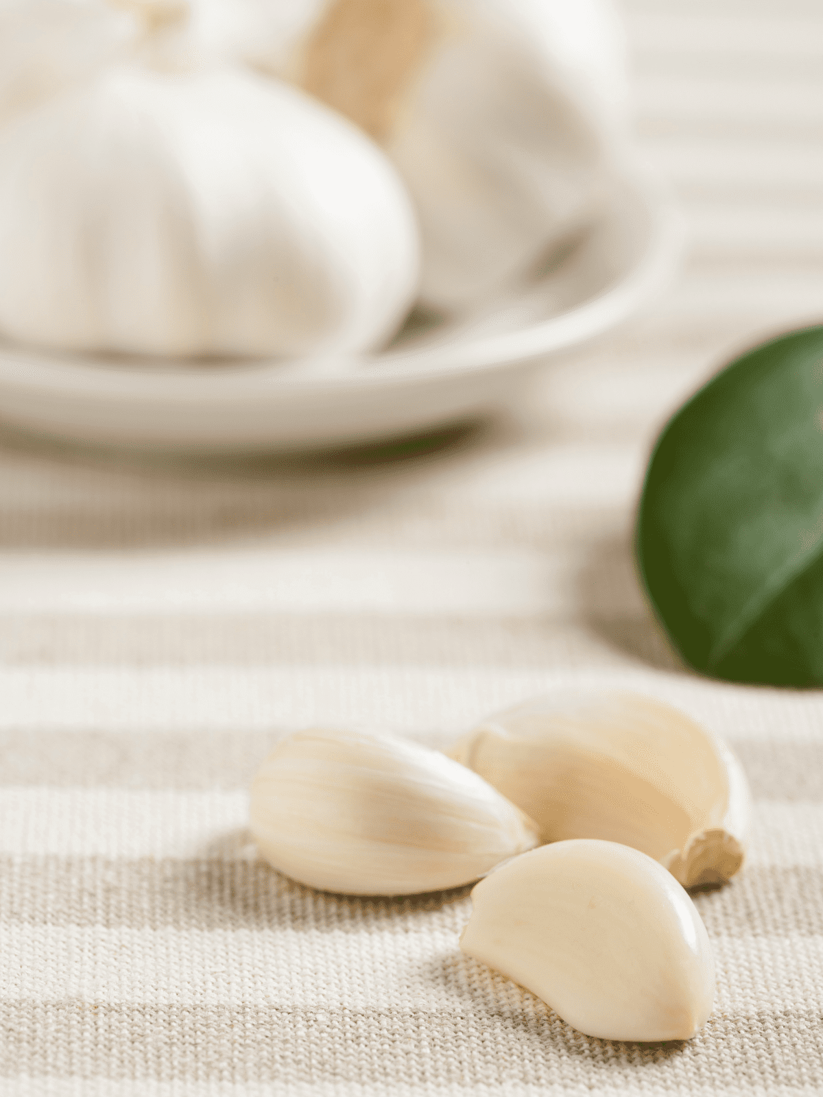 Garlic