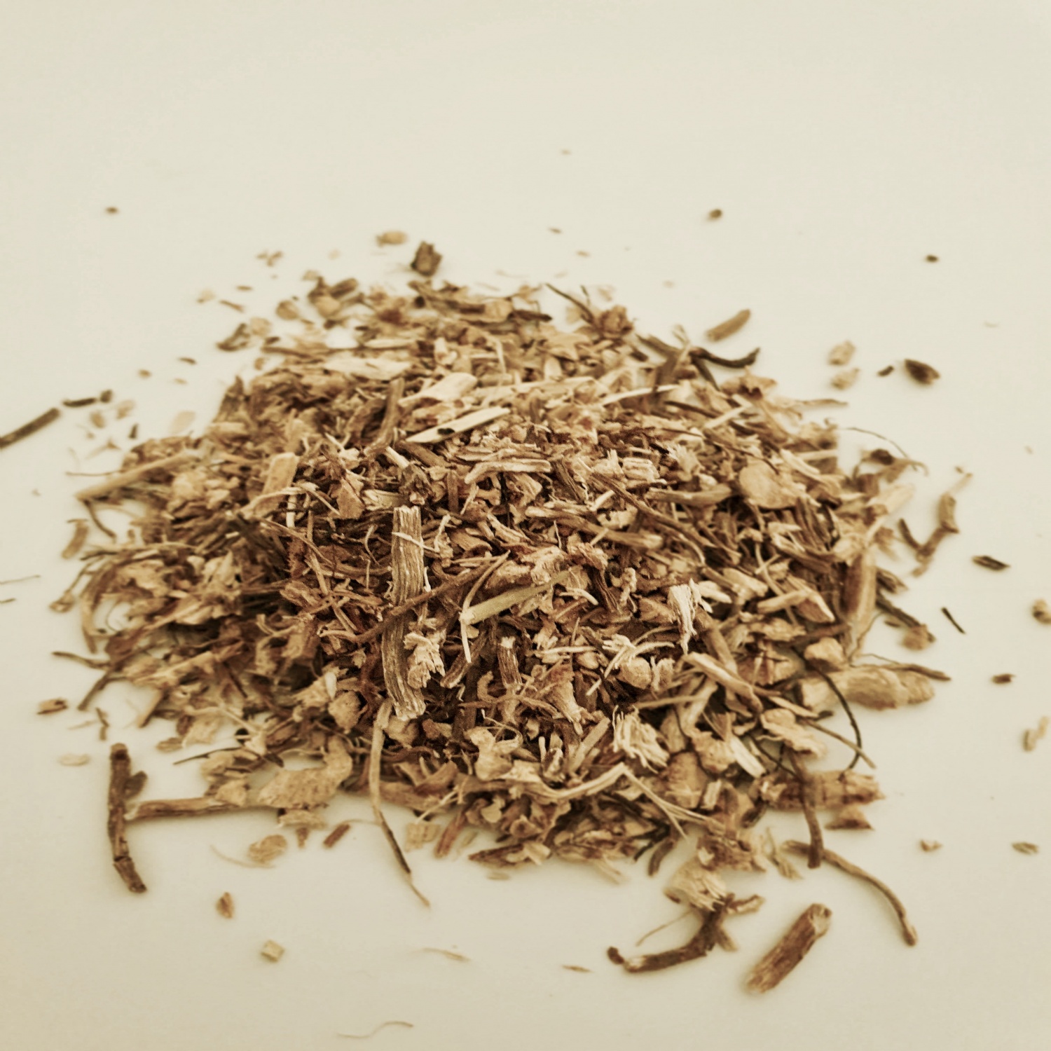 Butcher’s Broom