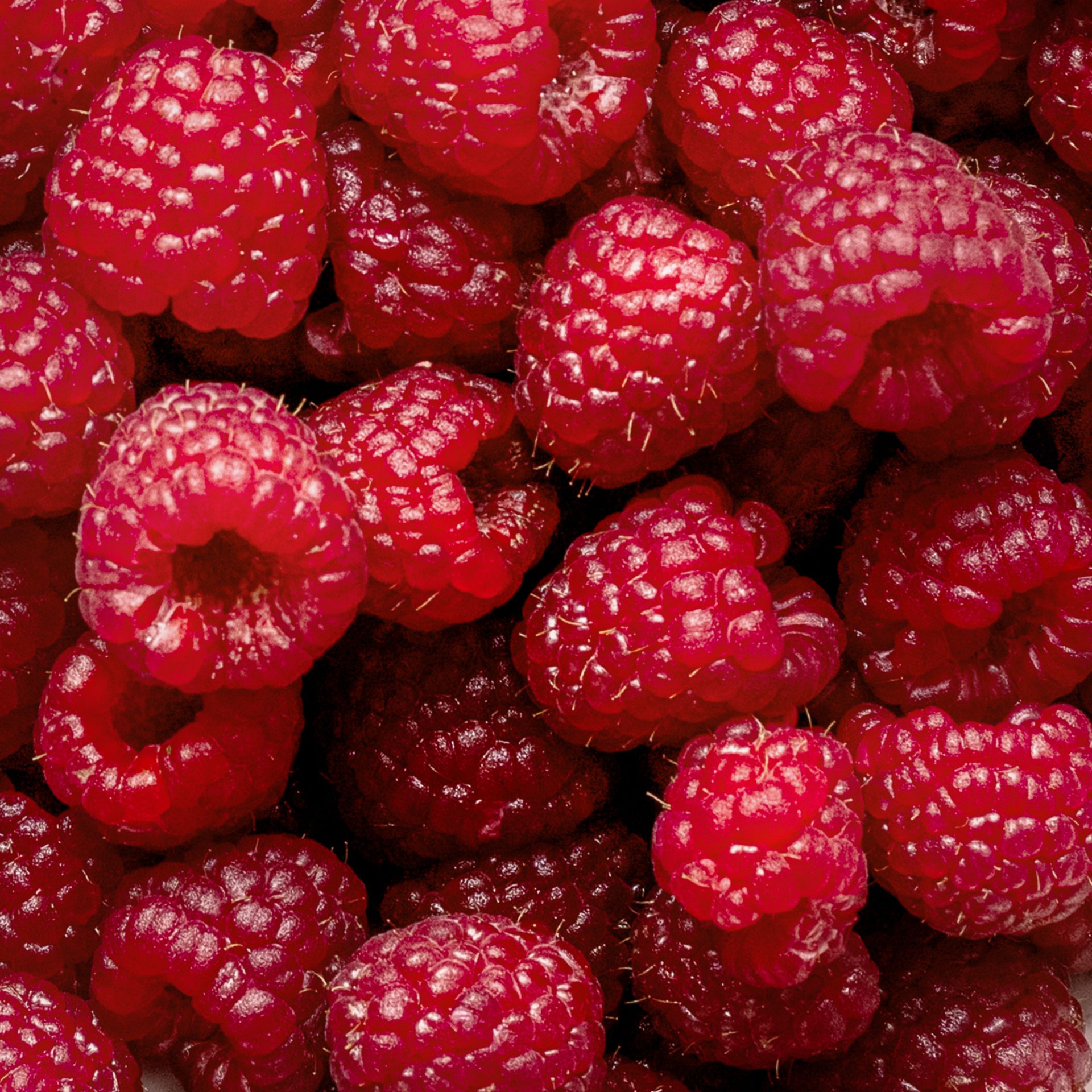 Raspberry