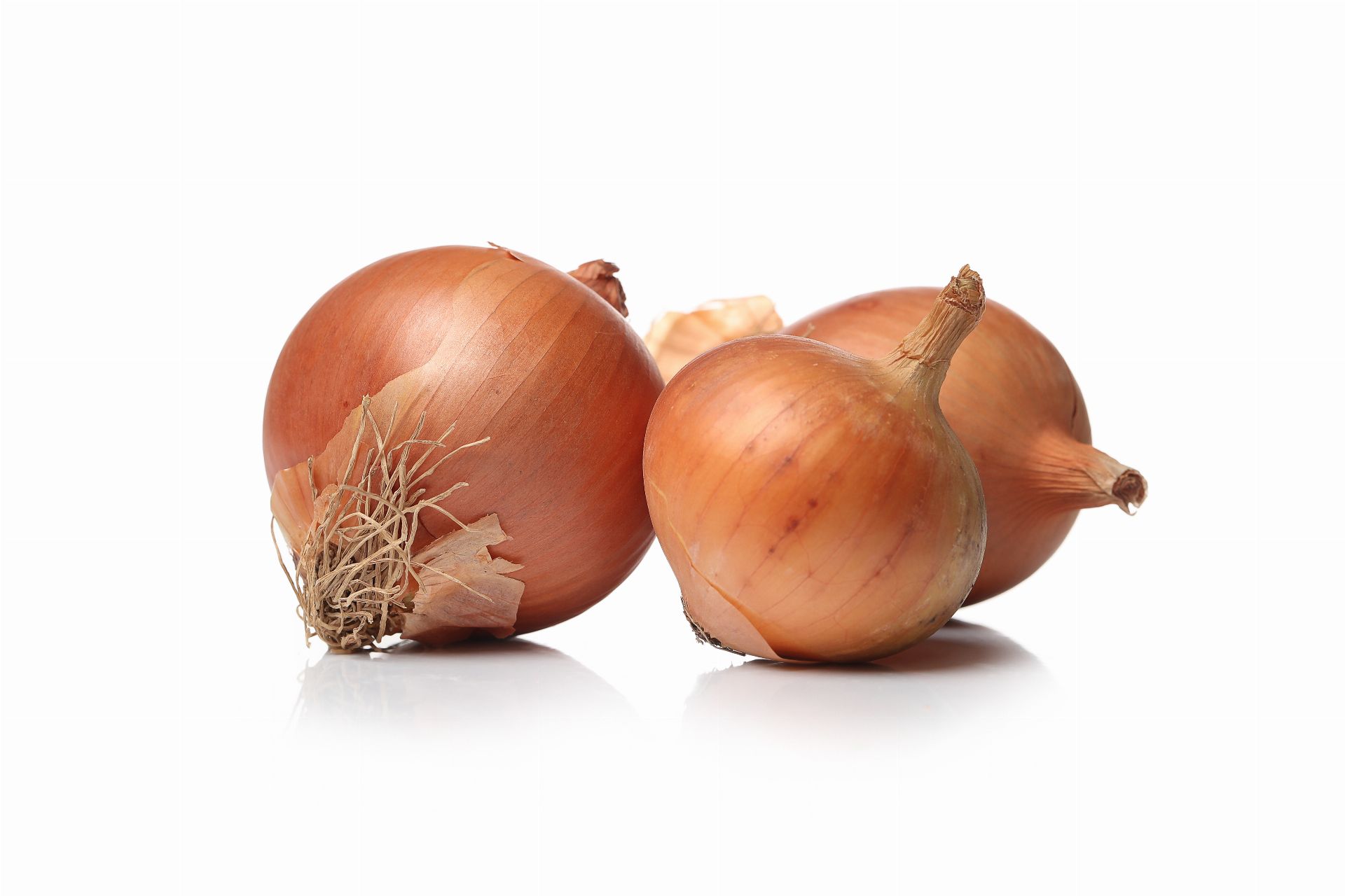 Onion