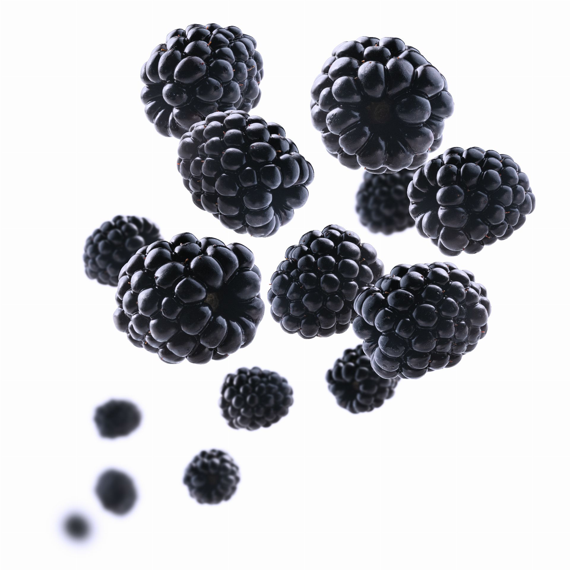 Black Mulberry